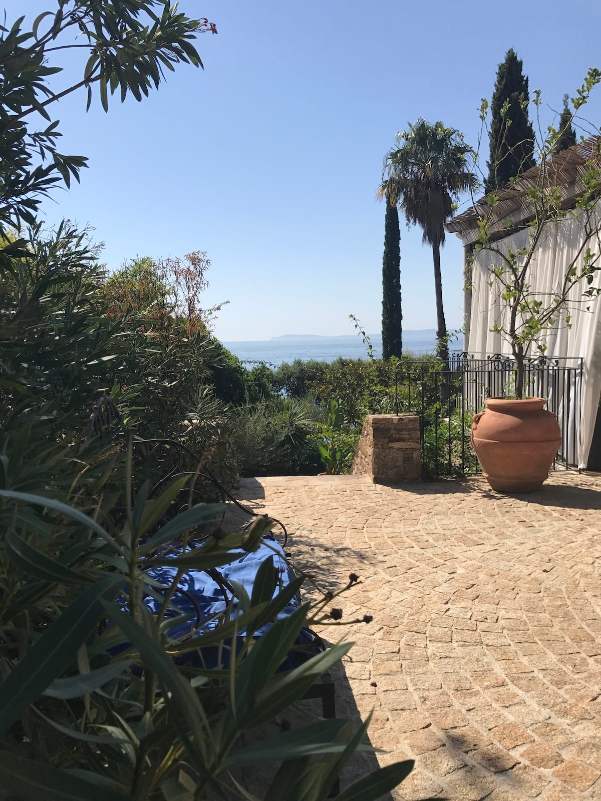 Le jardin méditerranéen · vue 4