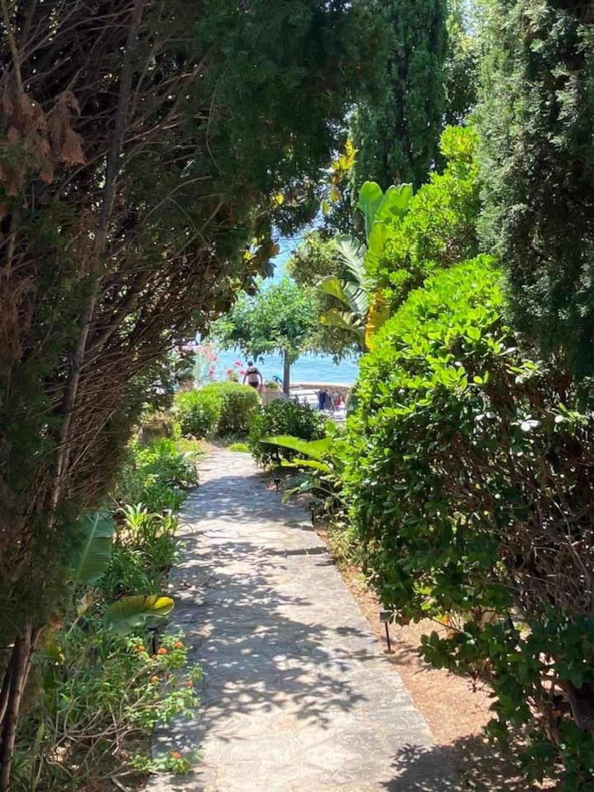 Le jardin méditerranéen · vue 7