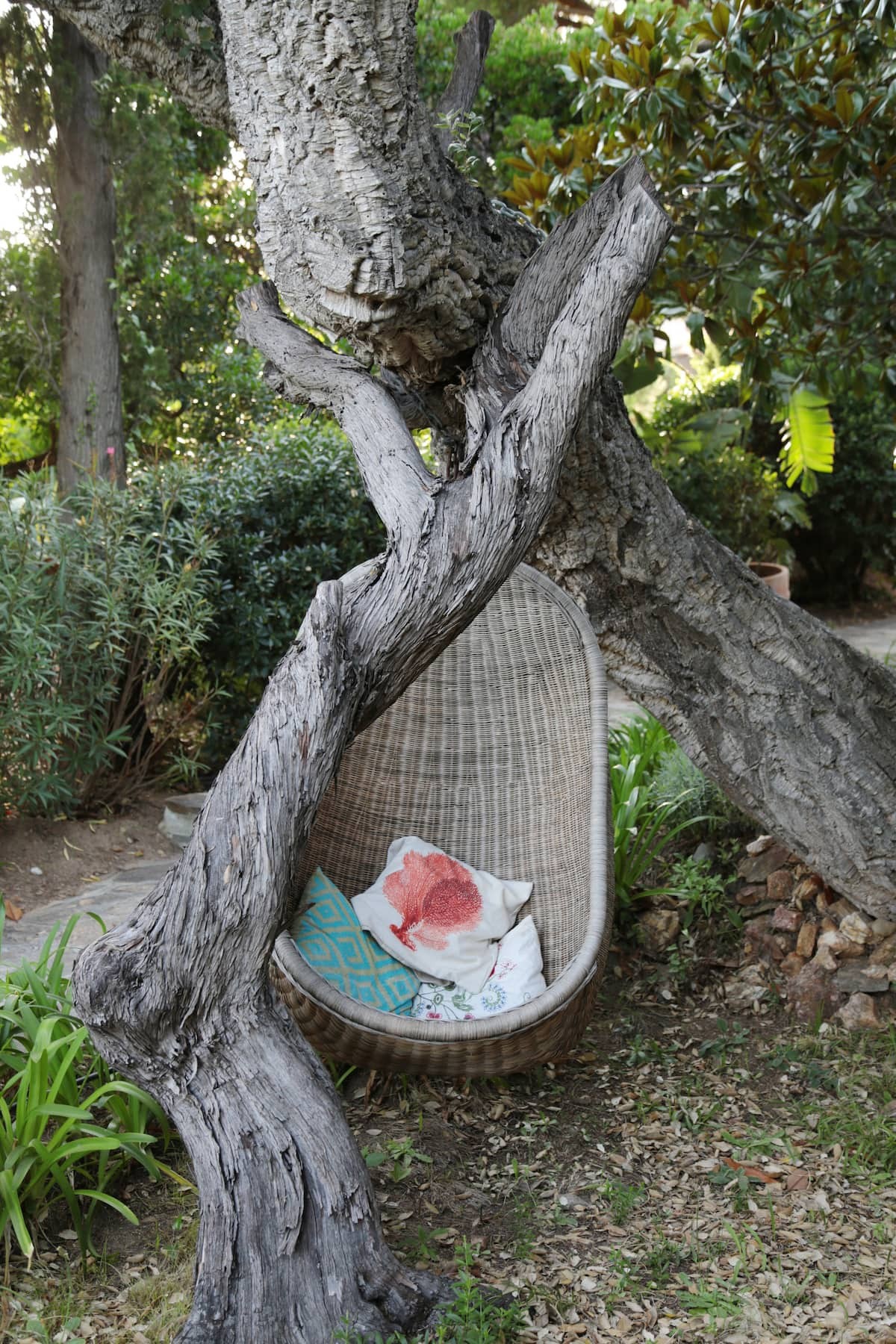 Le jardin méditerranéen · vue 8